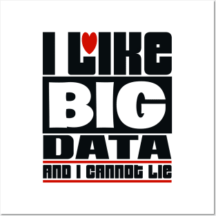 I like big data and I cannot lie Posters and Art